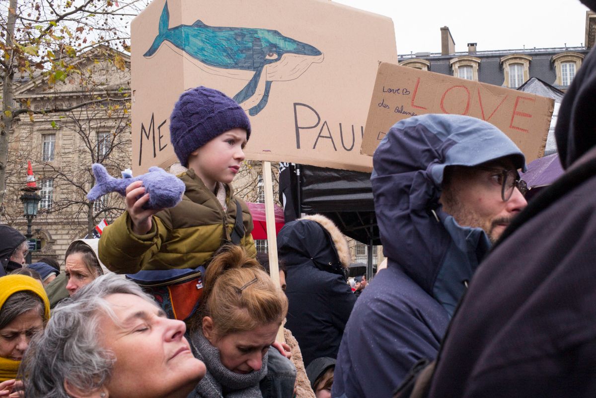 France, Paris, 2024-12-21. A child on shoulders is holding a stuffed whale. Behind him is a sign reading Thank you Paul. A rally has been organised on the Place de la Republique to celebrate the recent release of Paul Watson, who has been imprisoned in Greenland since July at Japan s request. Photograph by Eric Broncard/Hans Lucas.
France, Paris, 2024-12-21. Un enfant monte sur des epaules tient une baleine en peluche. Derriere lui une pancarte avec le texte « Merci Paul». Un rassemblement est organise sur la place de la Republique pour feter la recente liberation de Paul Watson, emprisonne au Groenland depuis juillet a la demande du Japon. Photographie par Eric Broncard/Hans Lucas. (Photo by Eric Broncard / Hans Lucas via AFP)