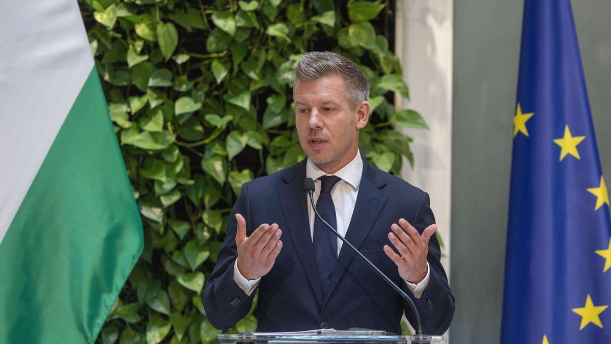 Magyar Péter sajtótájékoztatót tart a kormány eredményeiről + élő videó