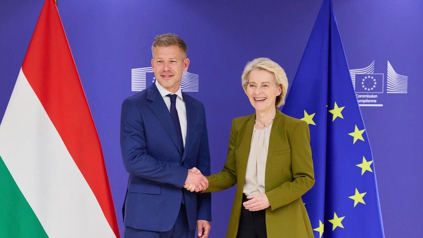 Magyar Péter kormányának nem kell lamentálnia, megmondják nekik, mit kell tenni