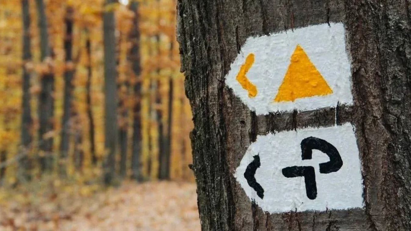 A pálosok nyomában, a Lélek útján – zarándoklat a balatonszemesi kolostorromhoz
