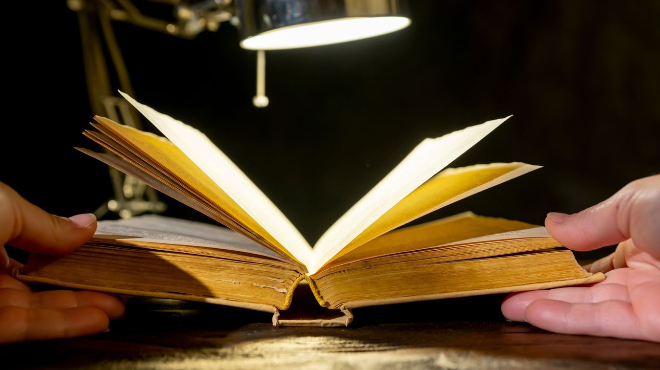 Exploring a vintage book under warm light in a cozy reading nook during a quiet evening
Mit olvas az új jobboldal?