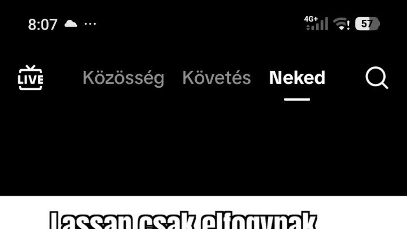 Cikk kép: undefined