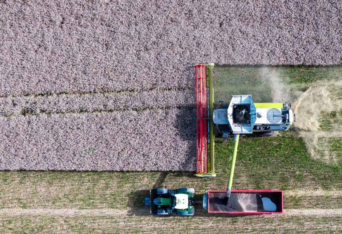 Az uniós agrárszektor résztvevői egyre nehezebb helyzetben vannak, a következő hétéves költségvetés tovább rontaná a szektor kilátásait (Fotó: JENS BUTTNER / DPA)